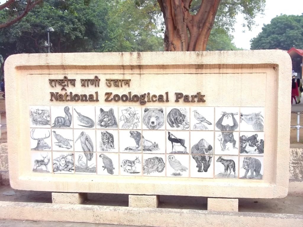 Delhi Zoo-Breastfeeding