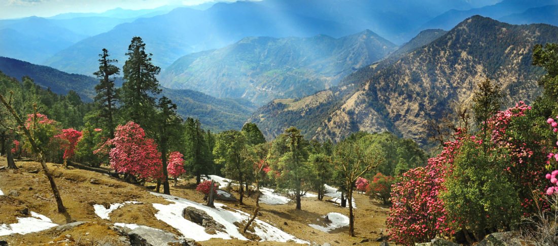 You Only Need INR 1000 To Find Peace And Good Vibes In Almora!