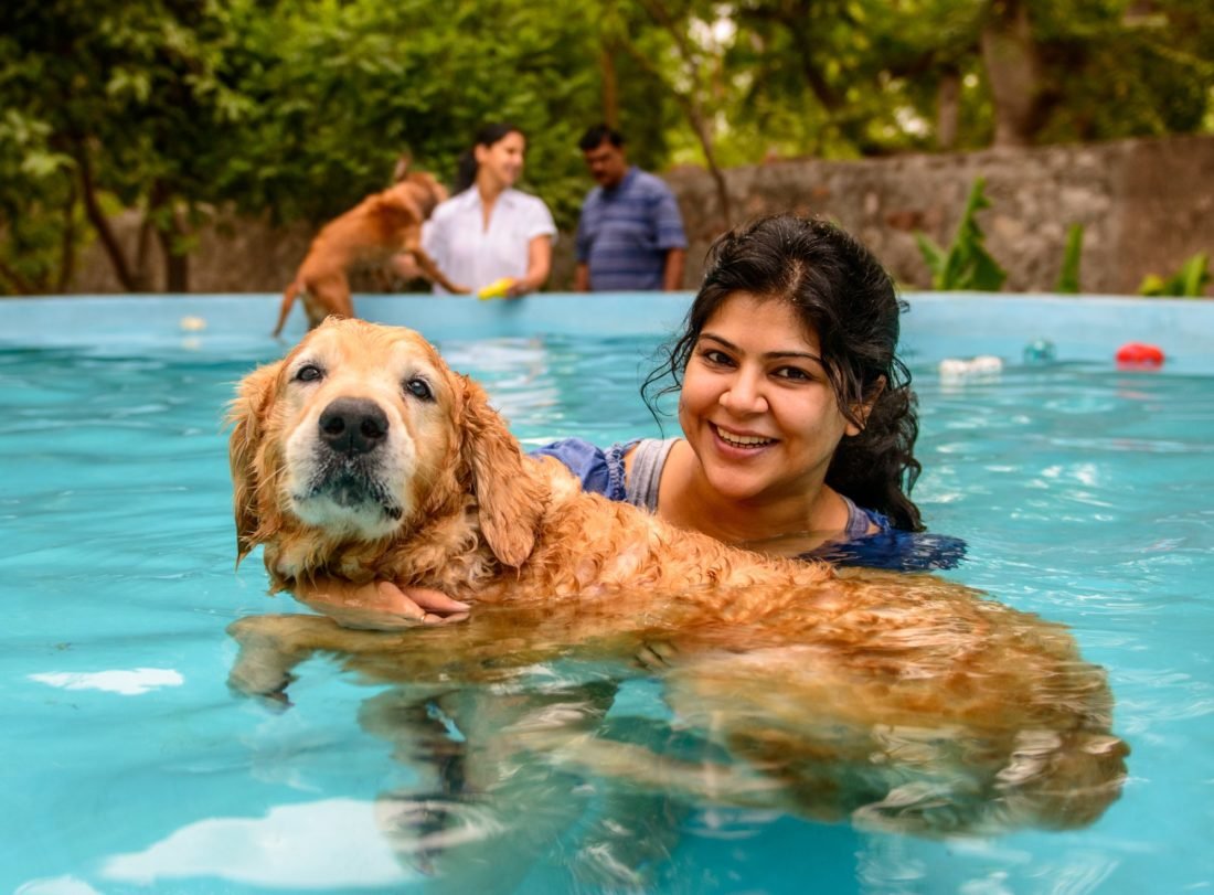 For Urban Nomad & Pets, We The Top Pet Friendly Resorts Around Delhi!