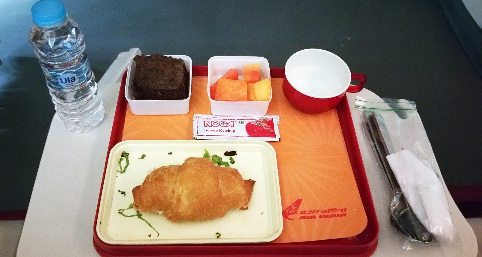 Flying Domestic? Air India Has Stopped Feeding Travellers Non Vegetarian Meals!