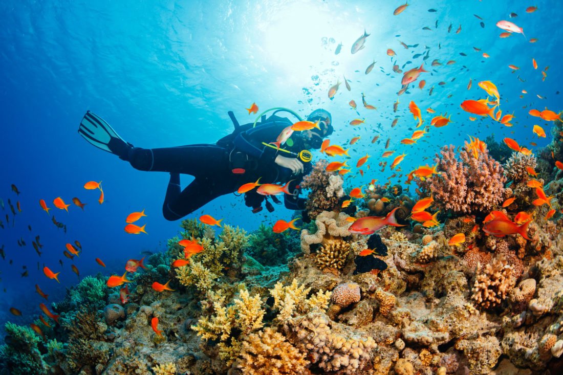 India’s First Scuba Diving Fest In Goa Is Free And During The Weekend!