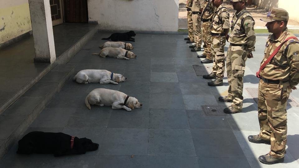 CISF Inducts All Female Dog Squad For Delhi Metro’s Phase III