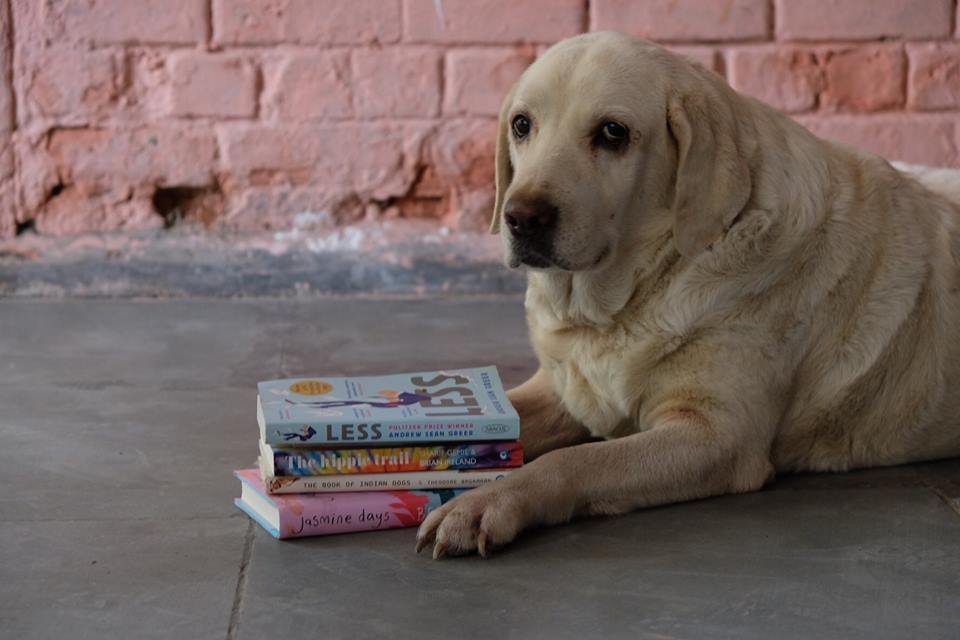 Love books and Animals alike? This Secondhand Book Sale Is For You!