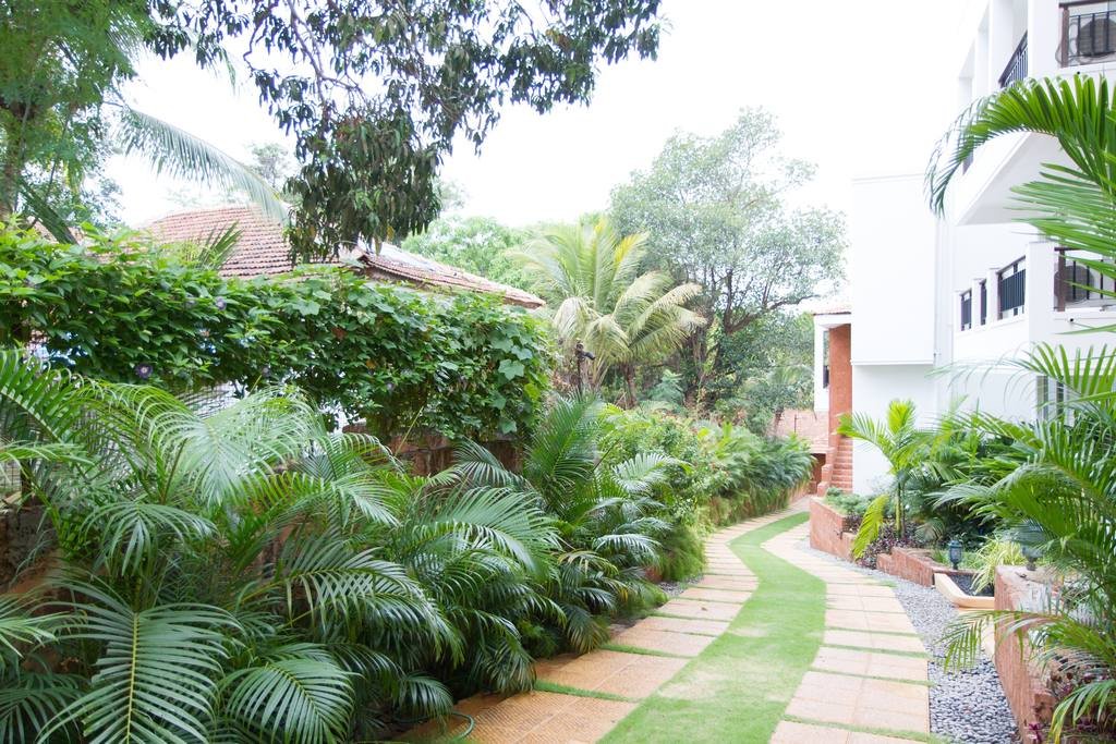 Its Goa Time Of The Year! Check Out This Amazing Property!